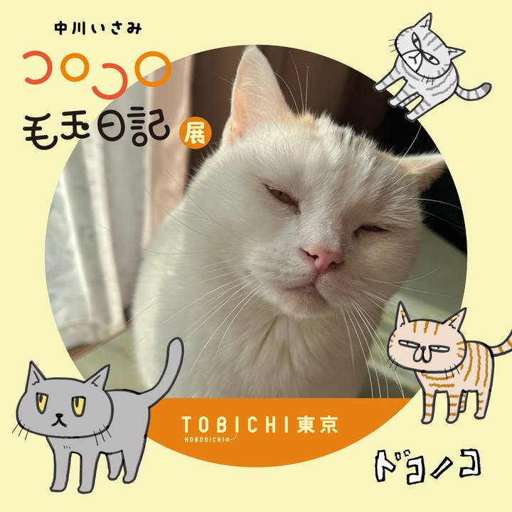 86529be6 7443 4f61 8b30 00b181bed3f7 1740307035764