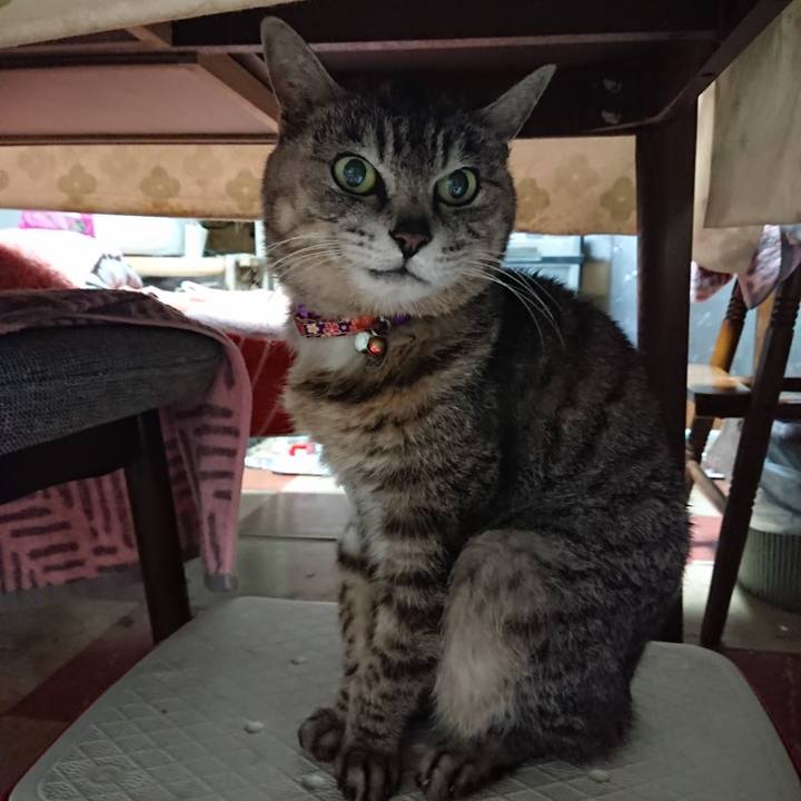 8652aa51 b071 4cf5 9d98 6dc97e5b7da2 1590178019994