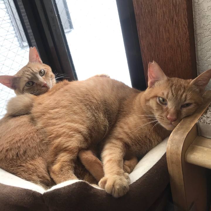 8652ec5c dfa1 47aa a4ca 63a3e1b2a777 1593912629609