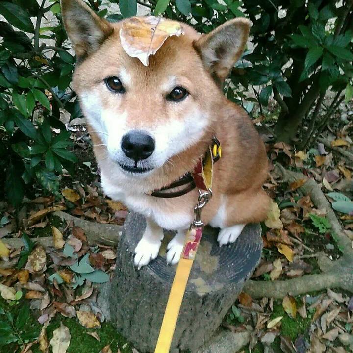 8652fda3 b0d4 40ad 9fb9 a2d6b15de06a 1573127346059