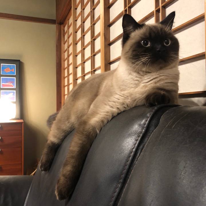 86533a8a ec81 4ecb 80c2 d38983e77ca7 1606619556590