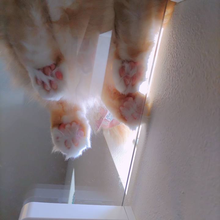 86534007 3c0d 4a5b b9f8 6935016ebd2e 1724572911048