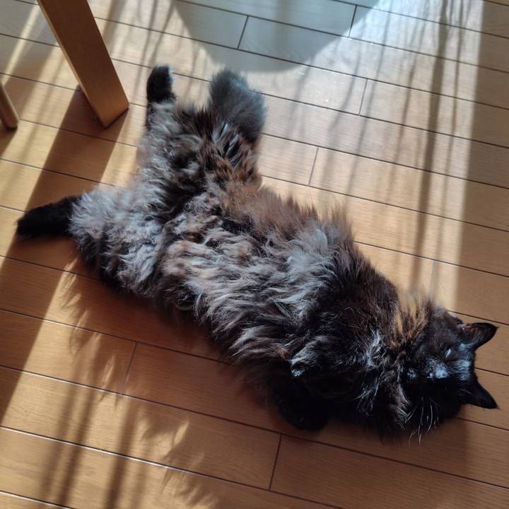 86534bbe 5304 47bf 8131 6036a7833885 1736570833231