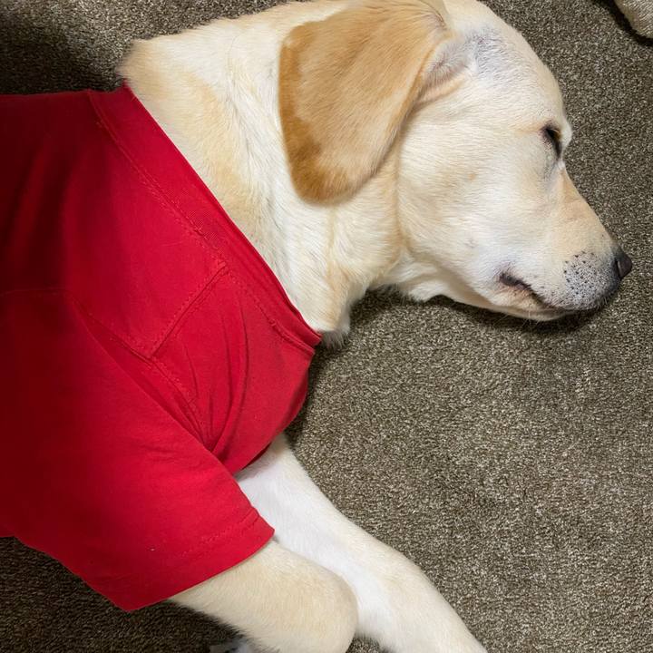 86536b1f ec9d 42c9 9c56 0a9220018a71 1620051369810