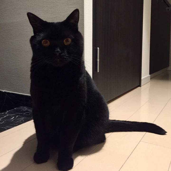 86536c3e 7e5a 45fc 8f0b 7e57ff4b6e04 1573478350334