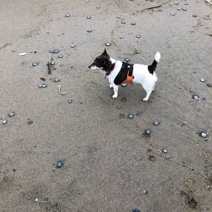 86536c6a ec0a 4460 9ba1 5d4294ed7f08 1570321687609