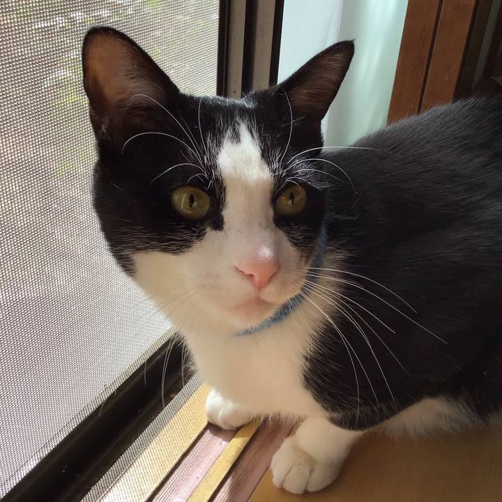 8653b055 64a5 46c7 9291 85bb711b0273 1743158141596