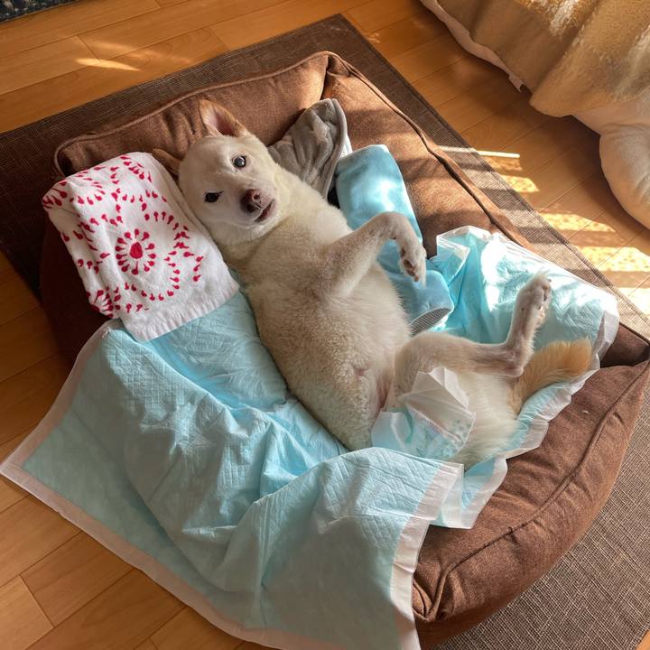 8653d7a3 7bb4 4157 a9a9 6cca2c62fb1b 1667284819517