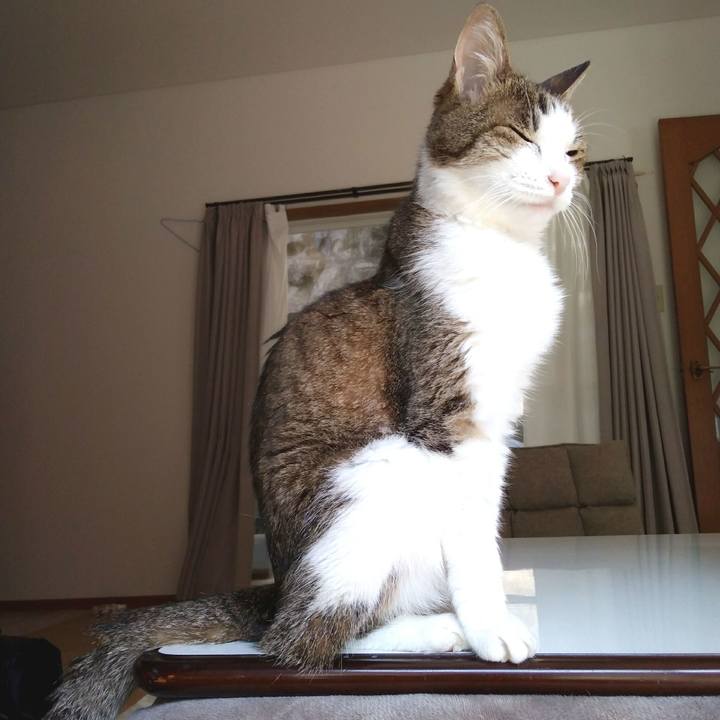 8653e4f6 dfcd 40dc a3f8 29ff4cb78fa6 1554638721354