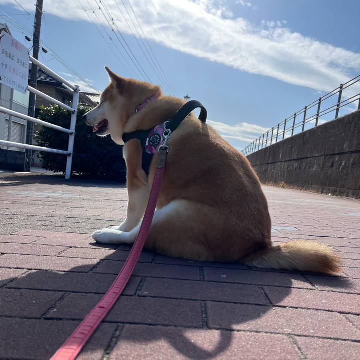 8653f97c 8055 459a 9506 5174e68600dc 1676699461665