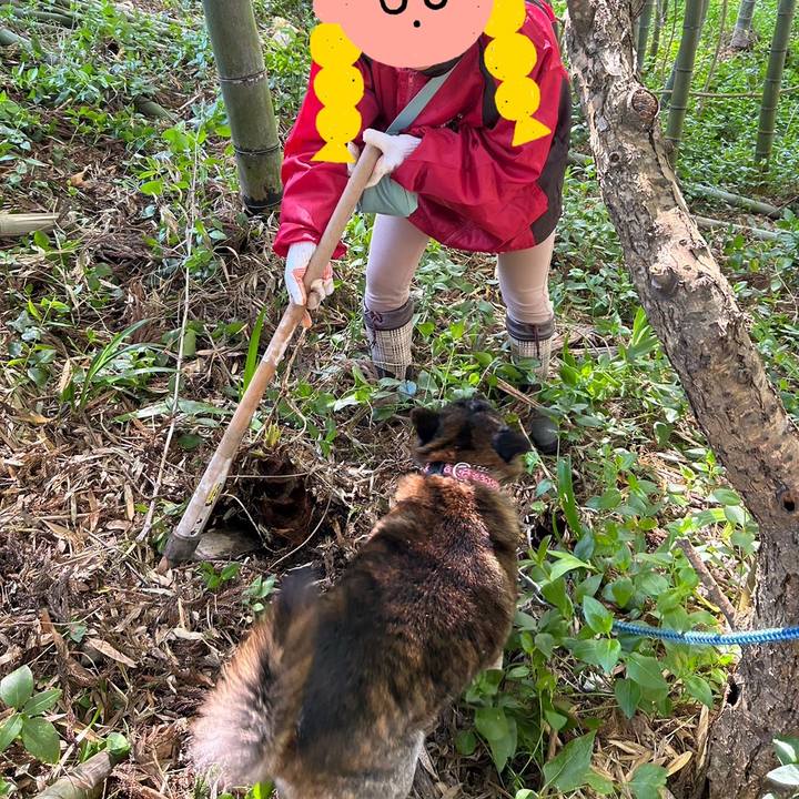 8654200d 3470 4c56 9426 e06c2a57b663 1682230414826