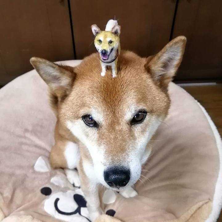 86543386 94fc 46dc a6f4 3d96add4e589 1628500732670