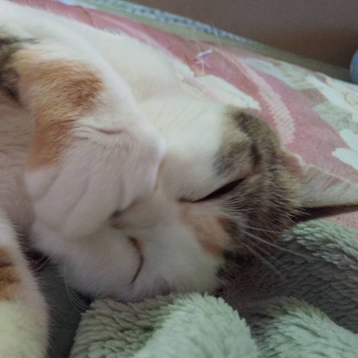 86544896 29d3 49f6 8059 60f6ea2a6cb0 1654985490574