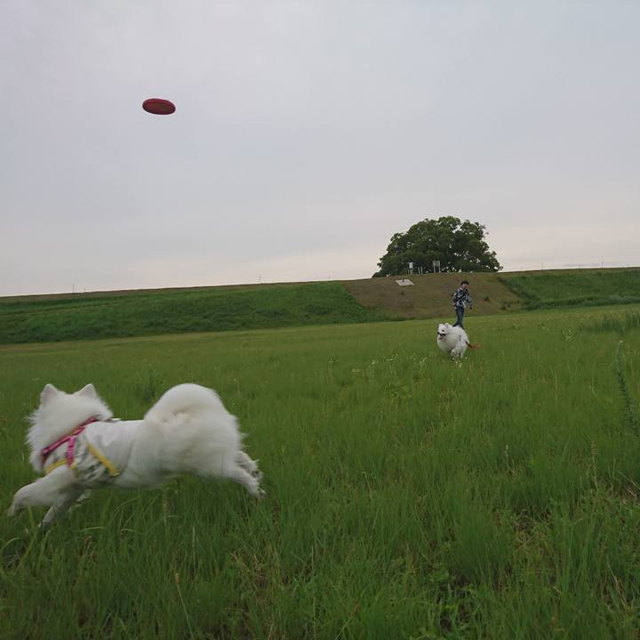 86548d3a 9207 462c aee9 e0b16df28a30 1592729686741