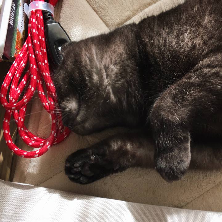 8654b02e b5ec 420e 8808 1d50e6bc05cb 1513402666055