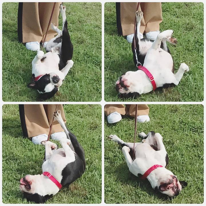 8654b07a c73f 4843 91b2 a9db9bcc8f86 1529569366251