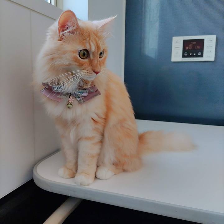 8654b9ea 9e39 44e2 9d0c 3847de14e692 1725773096048