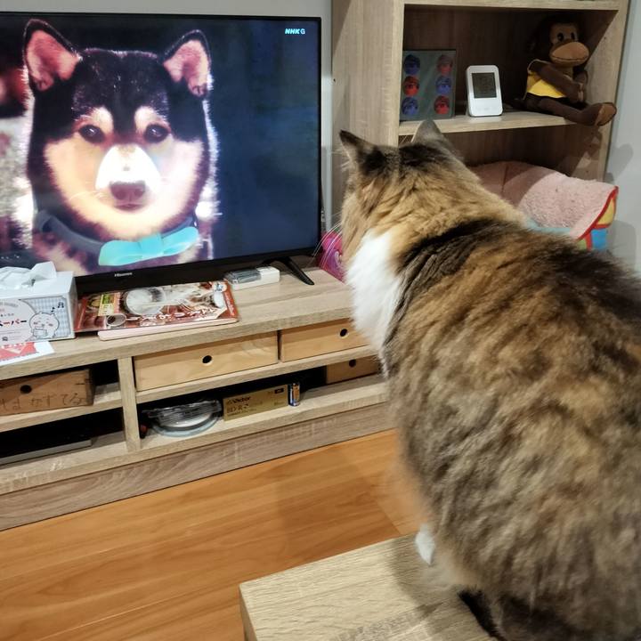 8654c950 ee71 4d03 b2a8 8e31884a34f2 1763185438608