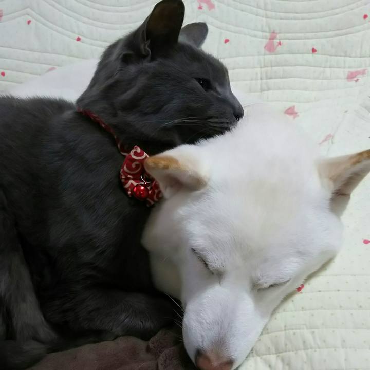 8654db9c 52dc 4fce a9e6 fc97c6797f89 1545809466696