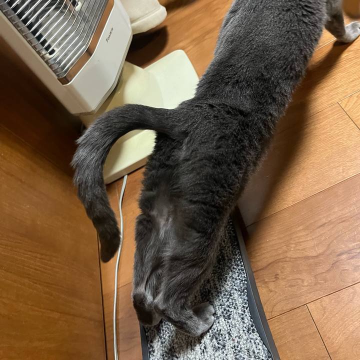 8654dcc2 a80c 4e1e 941c 957fe244905b 1737629185770