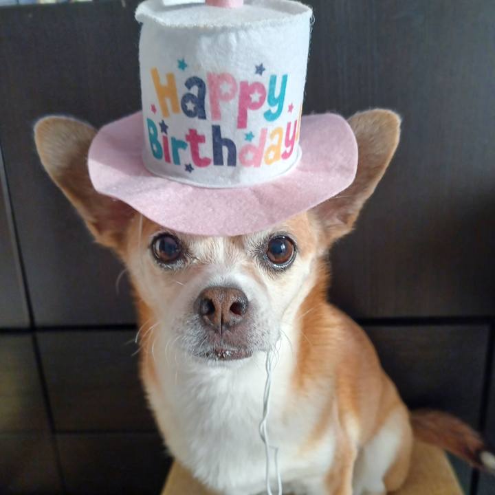 8655116d e0d3 4e6e b0b7 c69bd543e56e 1753910788645