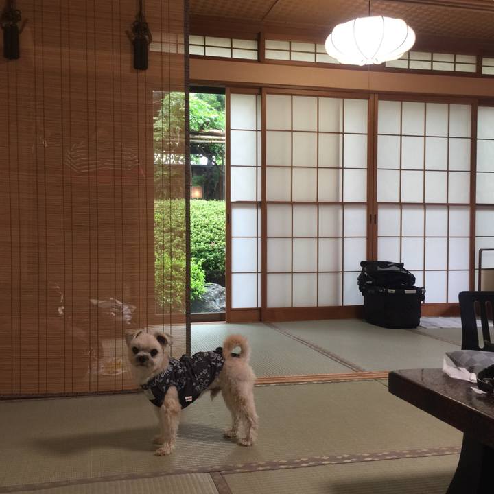 86551881 9b2d 4836 aa94 c66652c5c51b 1530260841690