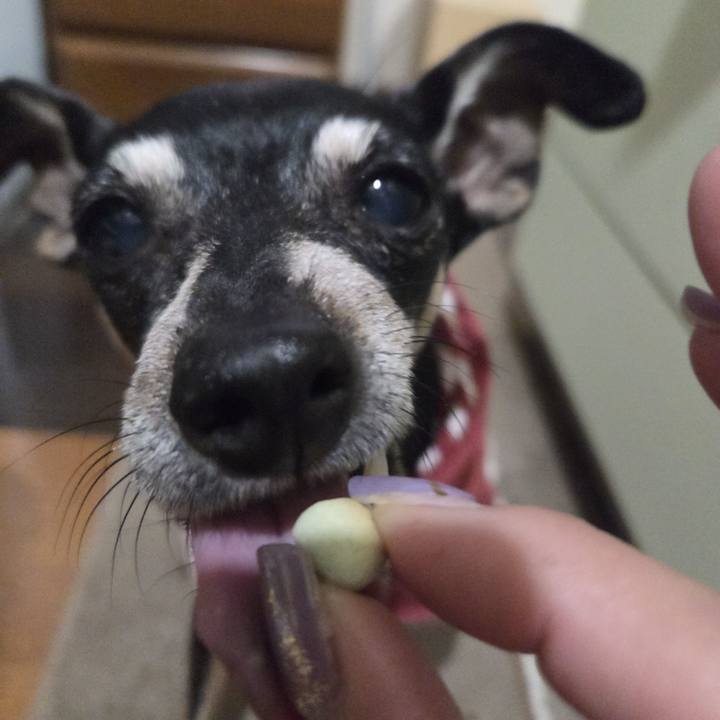 86551ce2 a8d4 4b2a 9e29 2c2aaa7812a0 1761594234707