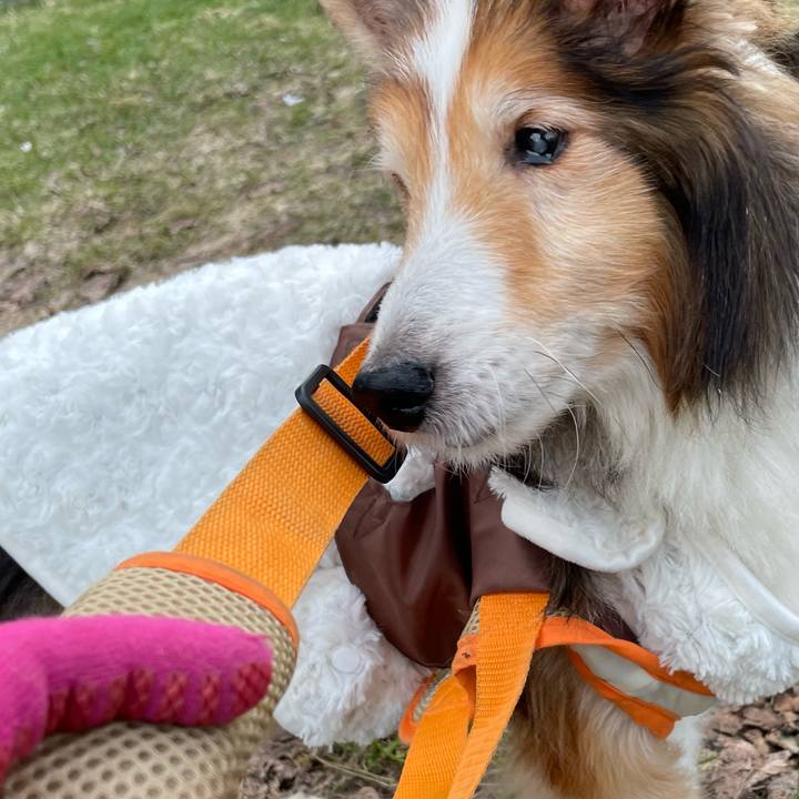 8655276a e7f0 4946 8a30 183193876bec 1650803809102