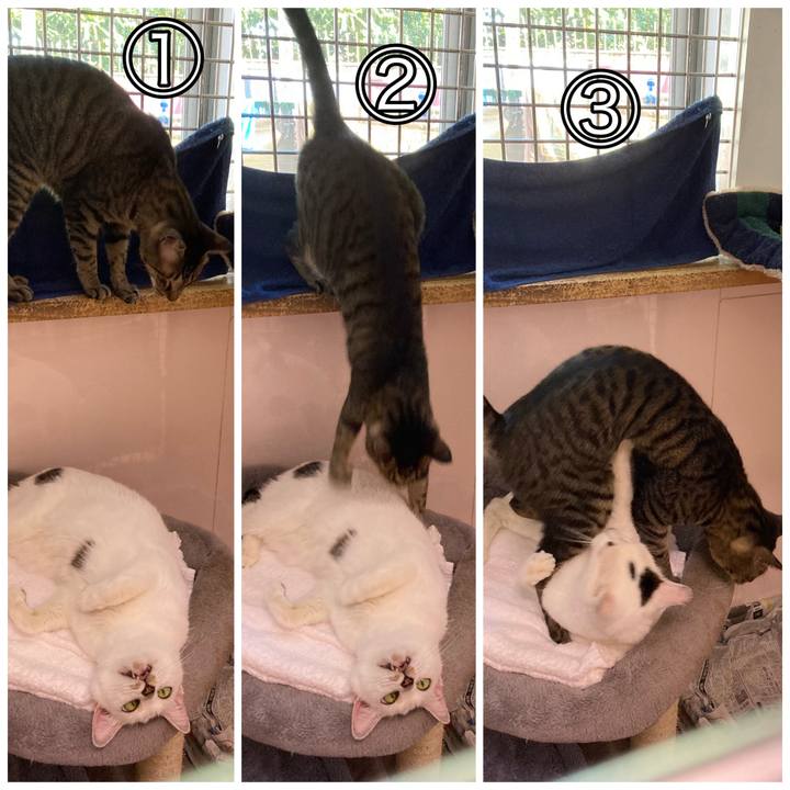 86552eac fbcd 4ba1 b4ed 5587b8e80fa8 1702813017585