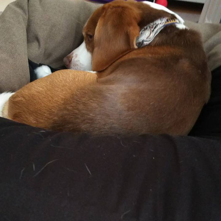 86553586 e9df 412c 87e1 52424b97e66d 1585810501603