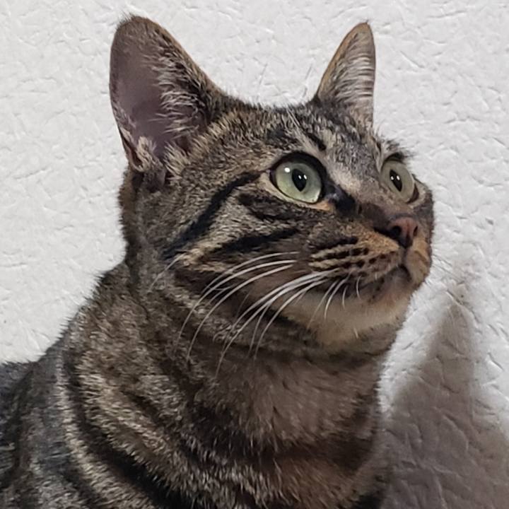 8655bf00 1f0b 488f 8a78 d2477c4cdfaf 1556698169407