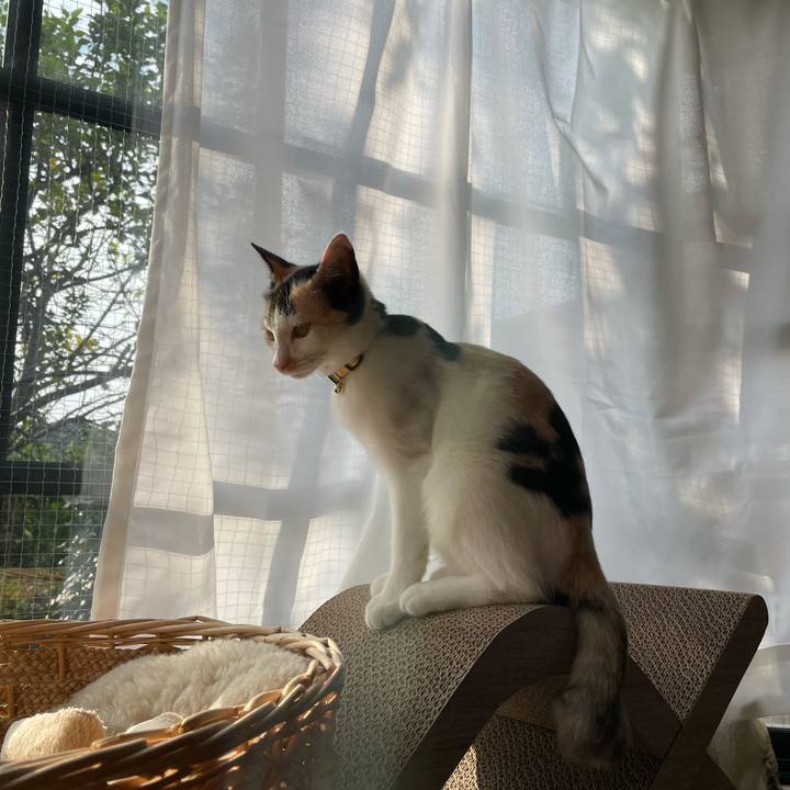 8655c612 dc60 49d3 9d85 f6c84cc60fe3 1664749895527