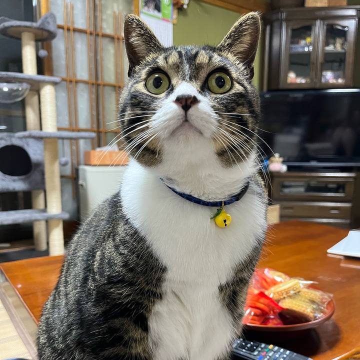 86561382 ecb8 45f9 a98f 5b569322a55d 1760054730122