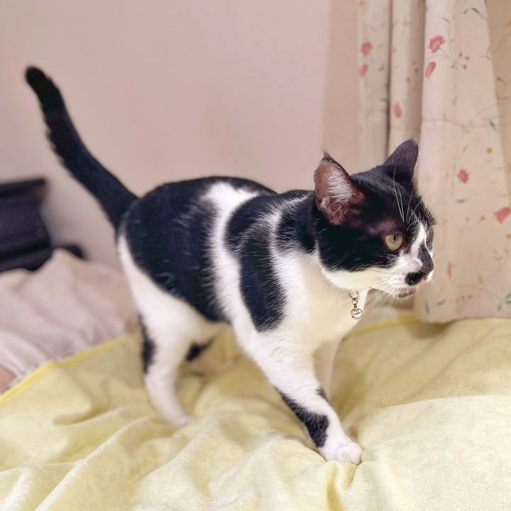 86564661 e0a9 486c ab4e 247f786f59a5 1760668421250