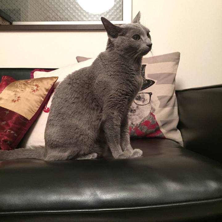 86564947 b420 44cb 8cdd 0ad9a3dd41dd 1545002419664