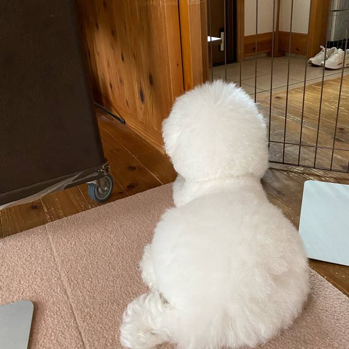 86566850 398c 4150 8d0a b9444c2116b3 1621064697809