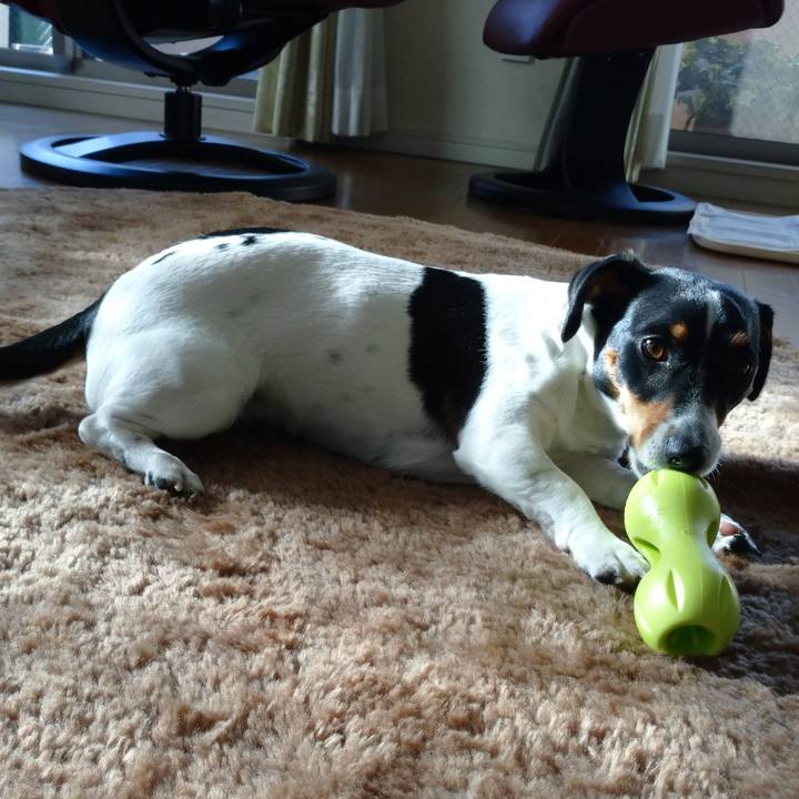 865688b6 0bf6 435c 9ddd c209d15dca60 1583997318660