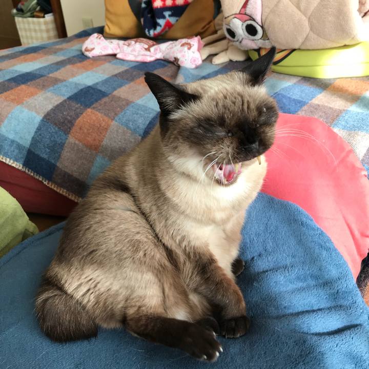 8656b8f5 b2d9 4b81 9ced ad650cf20eec 1515644062077