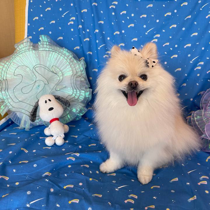 8656d691 c2b3 4a89 a4d5 850ba94b04f3 1691468374819