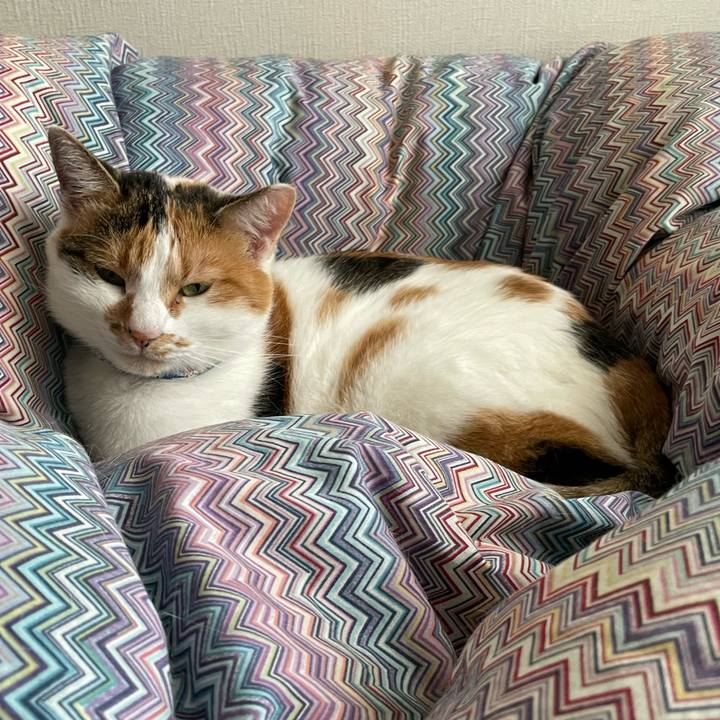 8656def3 eb34 4bd9 ae38 00157cb9c711 1699065404696