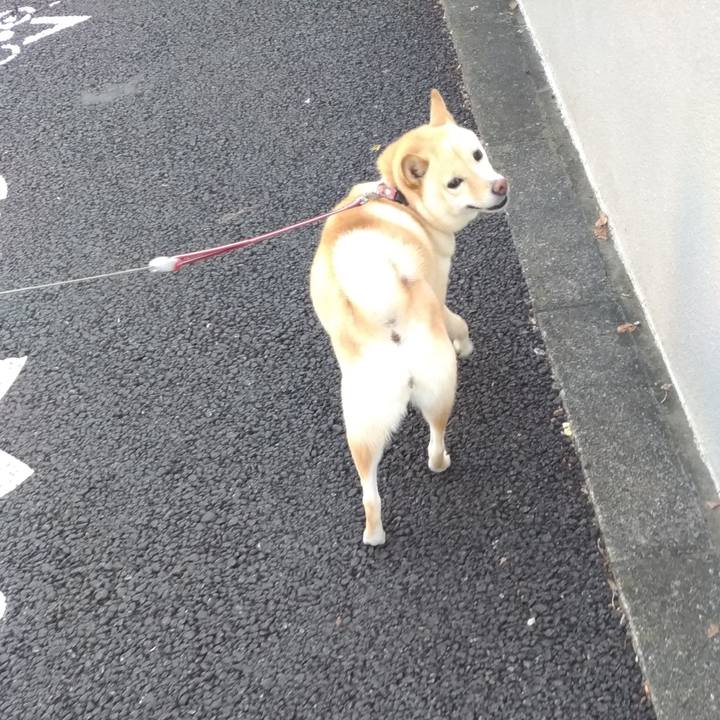 8656e80f a2f2 4158 97e5 19694cf1aff1 1601592758947