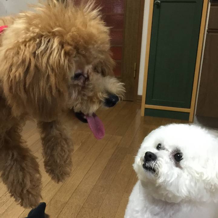 86572adf 3d29 4b8b 9ffc d10915337f99 1538882645222