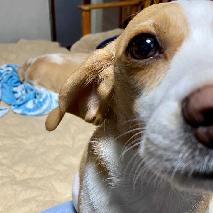 86574112 339d 4702 8e1c a9fe1a7cac38 1597909452953