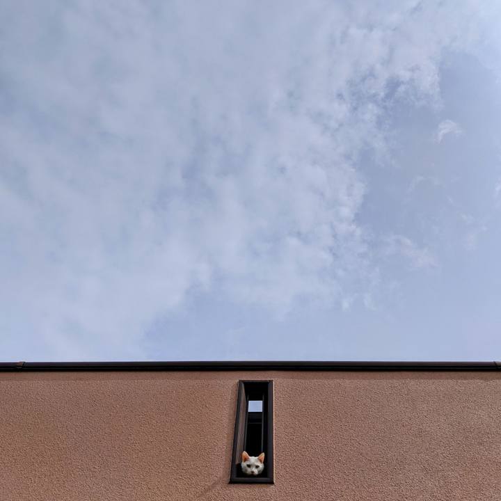 86574362 5ae2 4d1e b301 f4f7c894dc91 1620693462324