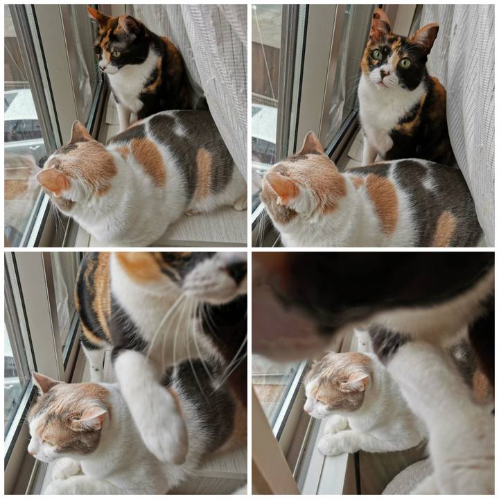 86574a26 e434 45ec 9806 050ce315f154 1662351416206