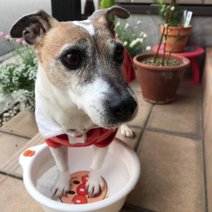 86576983 8af3 4485 ae83 6a23b214e21a 1589510514446