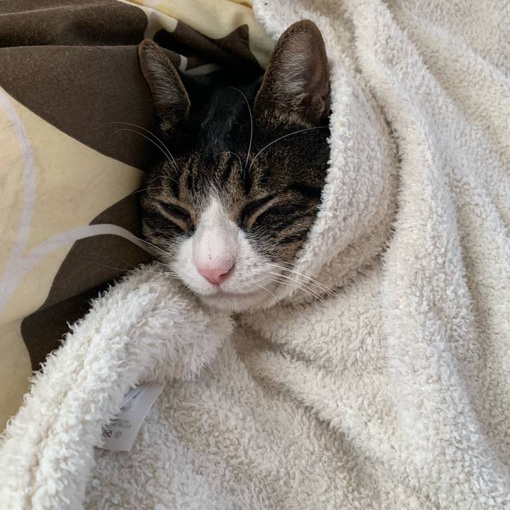 86578dc9 bd7d 4c3a 8457 02c64247f242 1547596679919