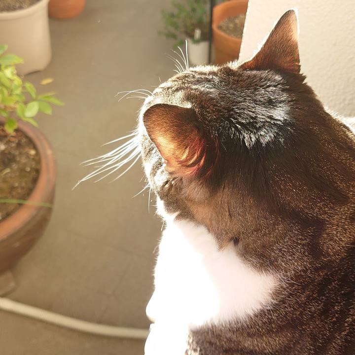 8657b9db c3d5 4223 b206 c55108cfd7bb 1610247696803