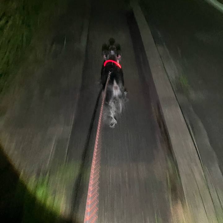 8657c564 6031 4320 9f07 8389887407f7 1725539770099