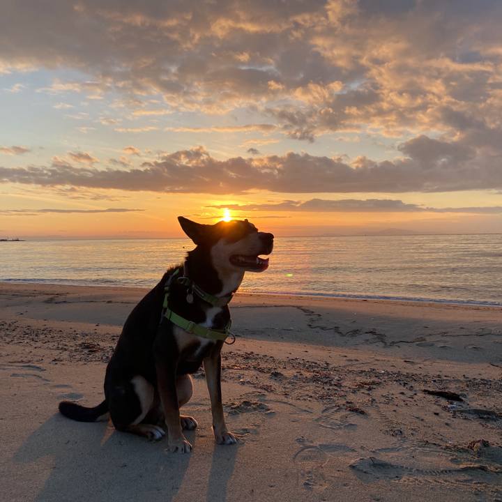 8657c67d c2a9 4c5d 8ade 4d8f9b7292ec 1644754349425